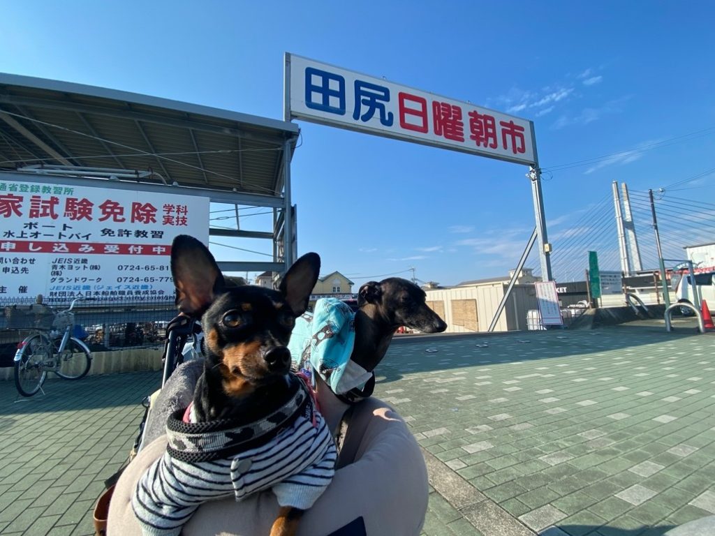 大阪 田尻町 田尻漁港の日曜朝市は犬同伴可 テラス席で食事も可能 わんわんスタジアム わんスタ