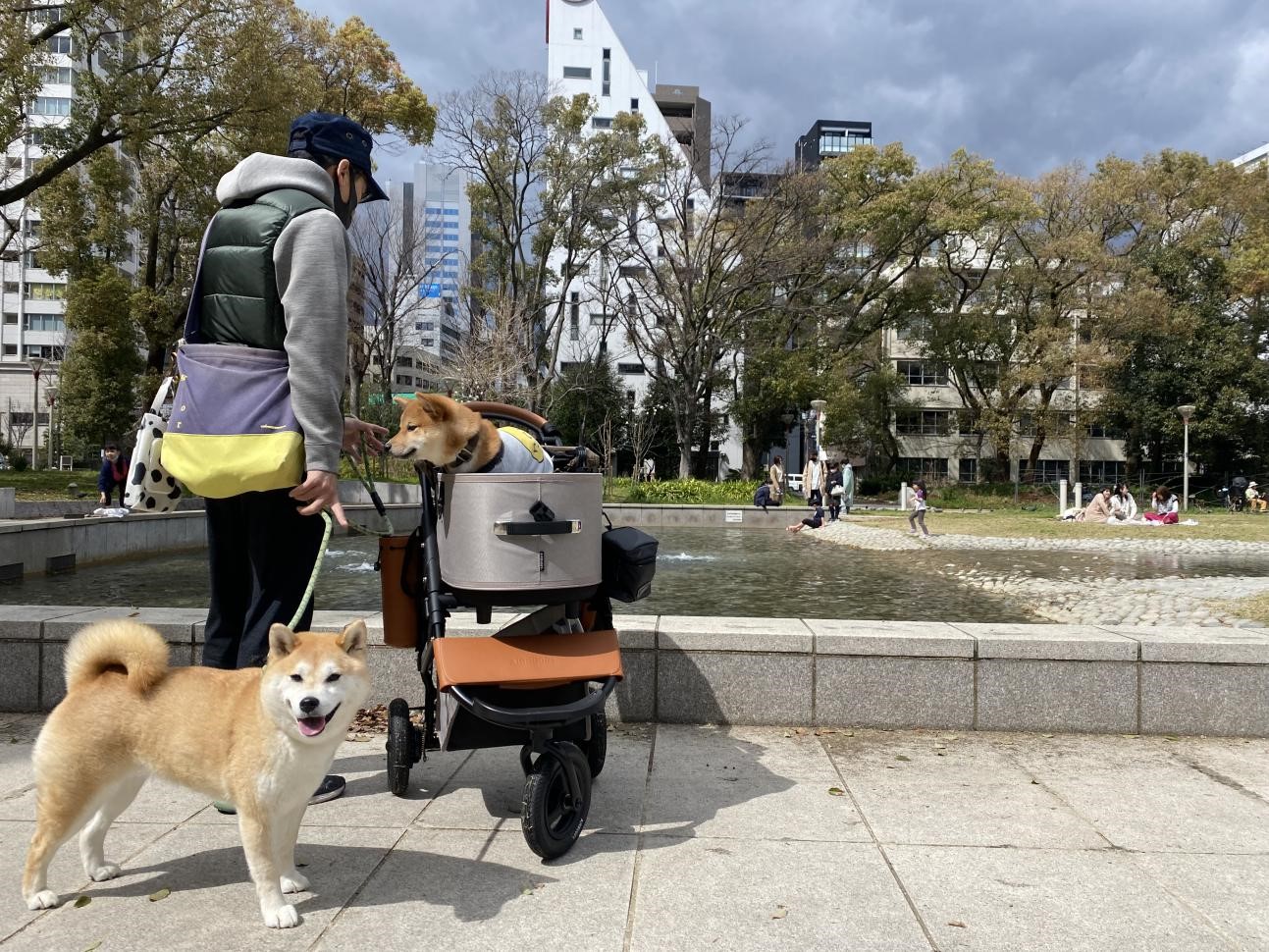 靭公園 ペット同伴可