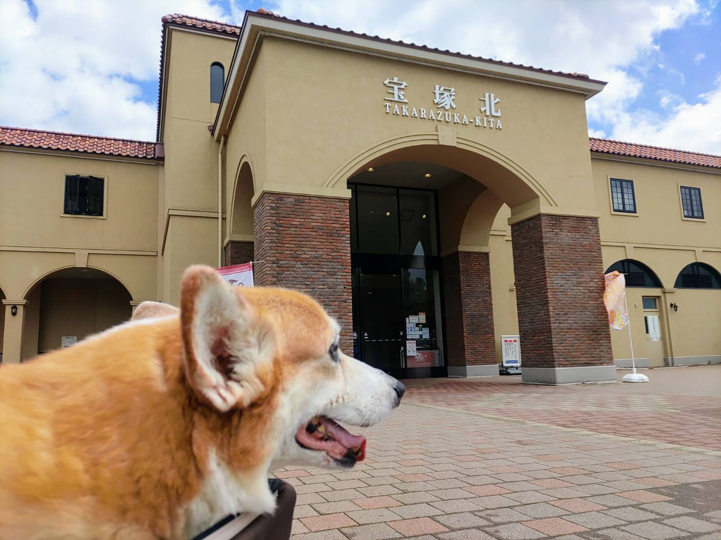 【兵庫・宝塚市】宝塚北SAのドッグランで遊ぼう!おいしいお土産もたくさん♪ わんわんスタジアム 【兵庫・宝塚市】宝塚北SAのドッグランで遊ぼう!おいしいお土産もたくさん♪ わんわんスタジアム