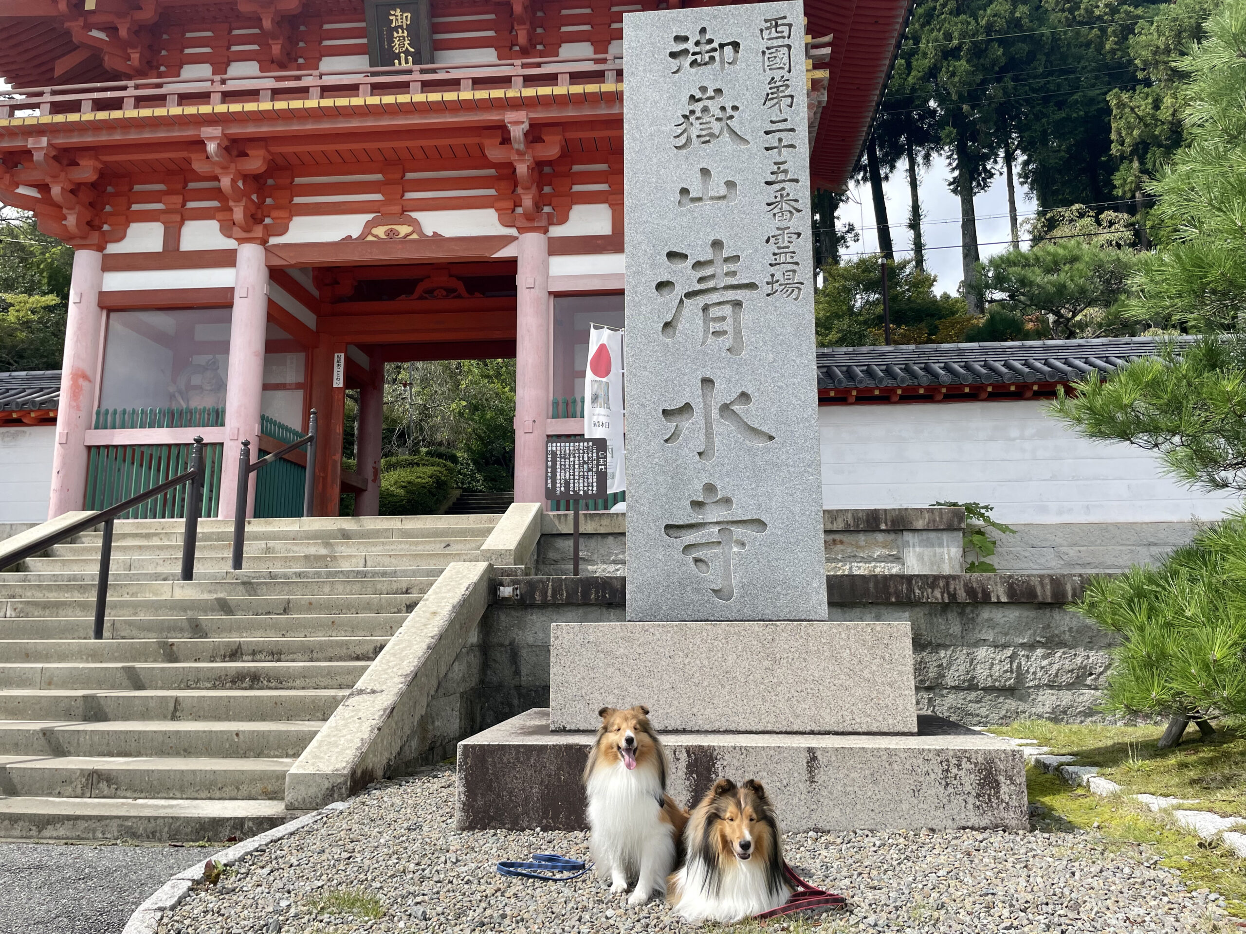 兵庫/加東市】山のお寺のドッグラン「紅葉が楽しめる！ワンちゃんOKな