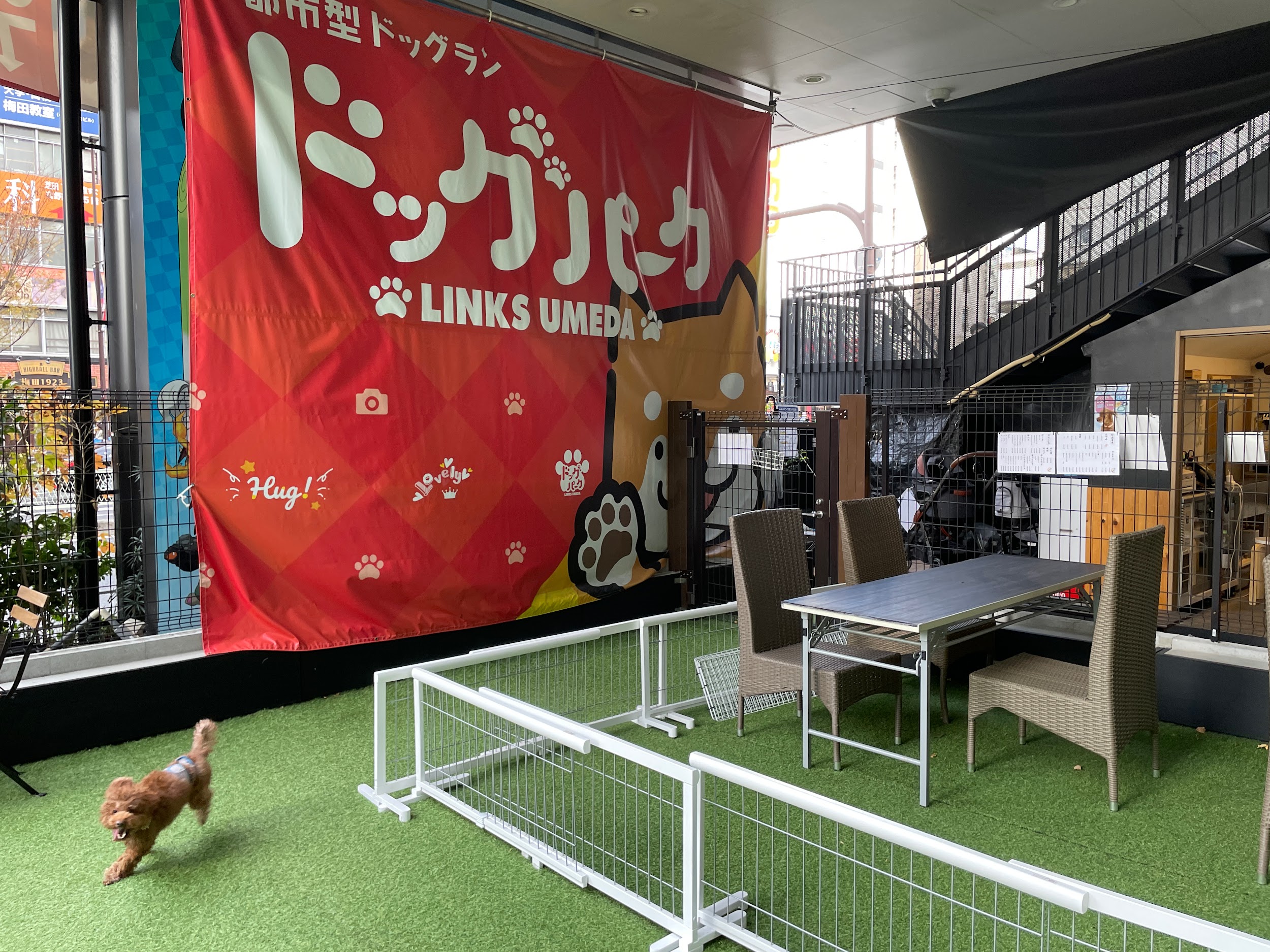 閉店】【大阪市北区】ドッグパーク（LINKS UMEDA）~スモールわんだ