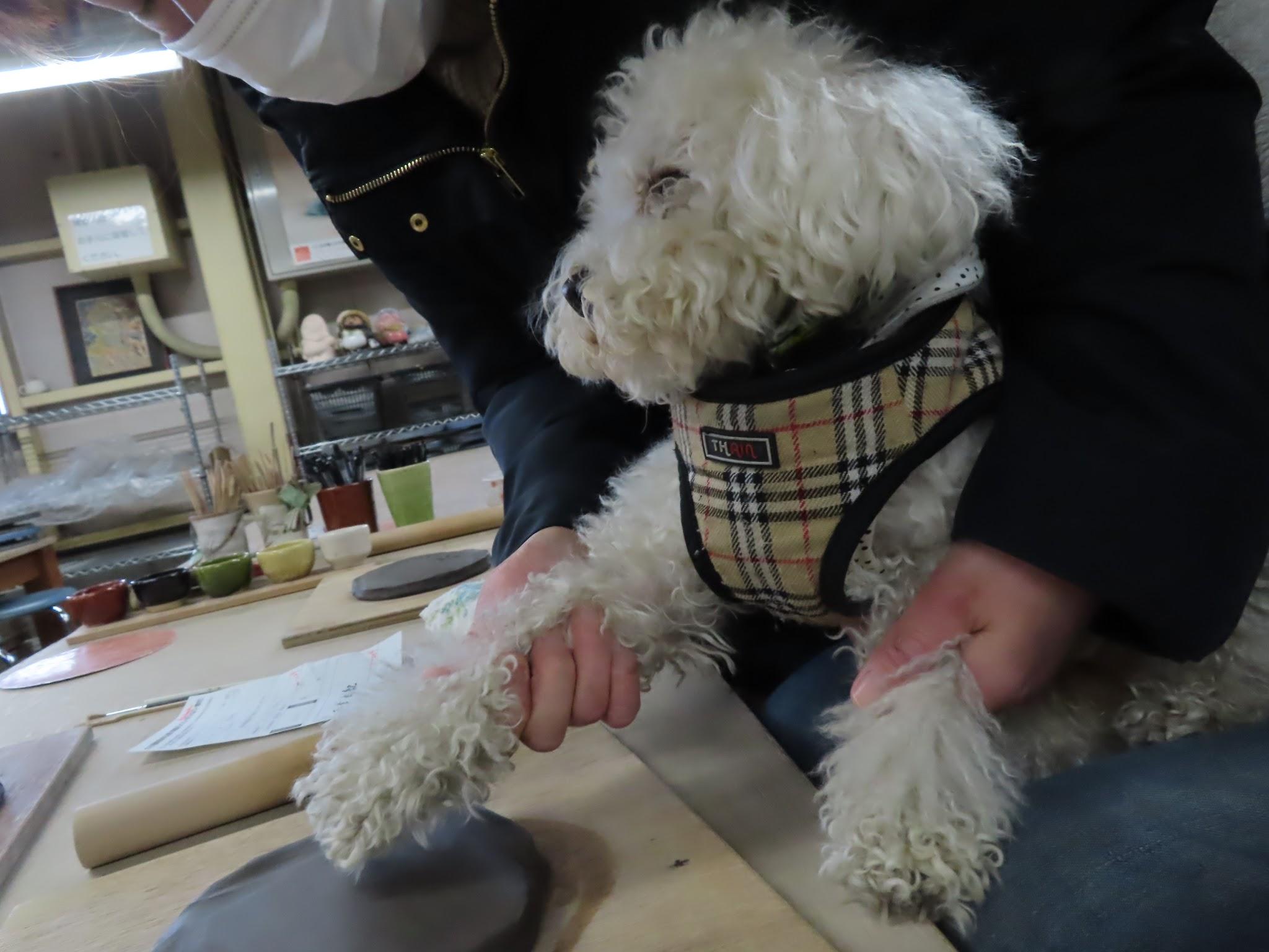 滋賀/甲賀市】大小屋「陶芸教室でワンちゃんといっしょに陶芸体験♪」
