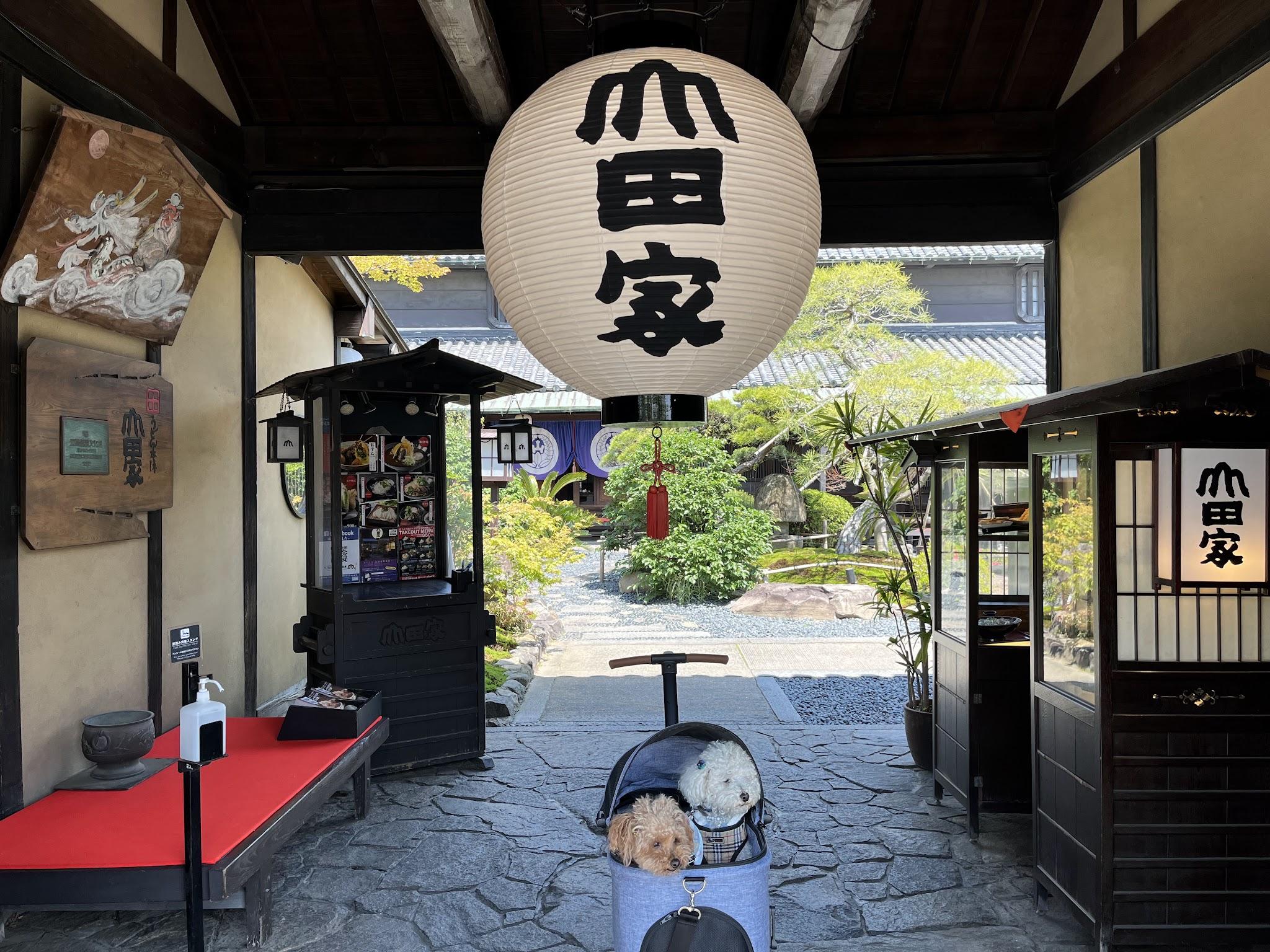 香川】神戸発ジャンポフェリーでワンちゃんと一緒にうどん県へ『うどん