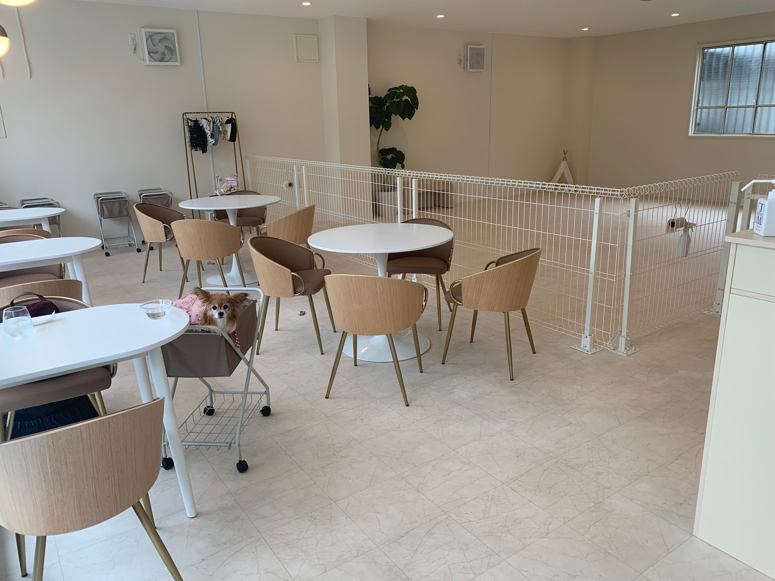 大阪/枚方市】.d(ドッドディ―)「オーナーさんの思い満載！室内