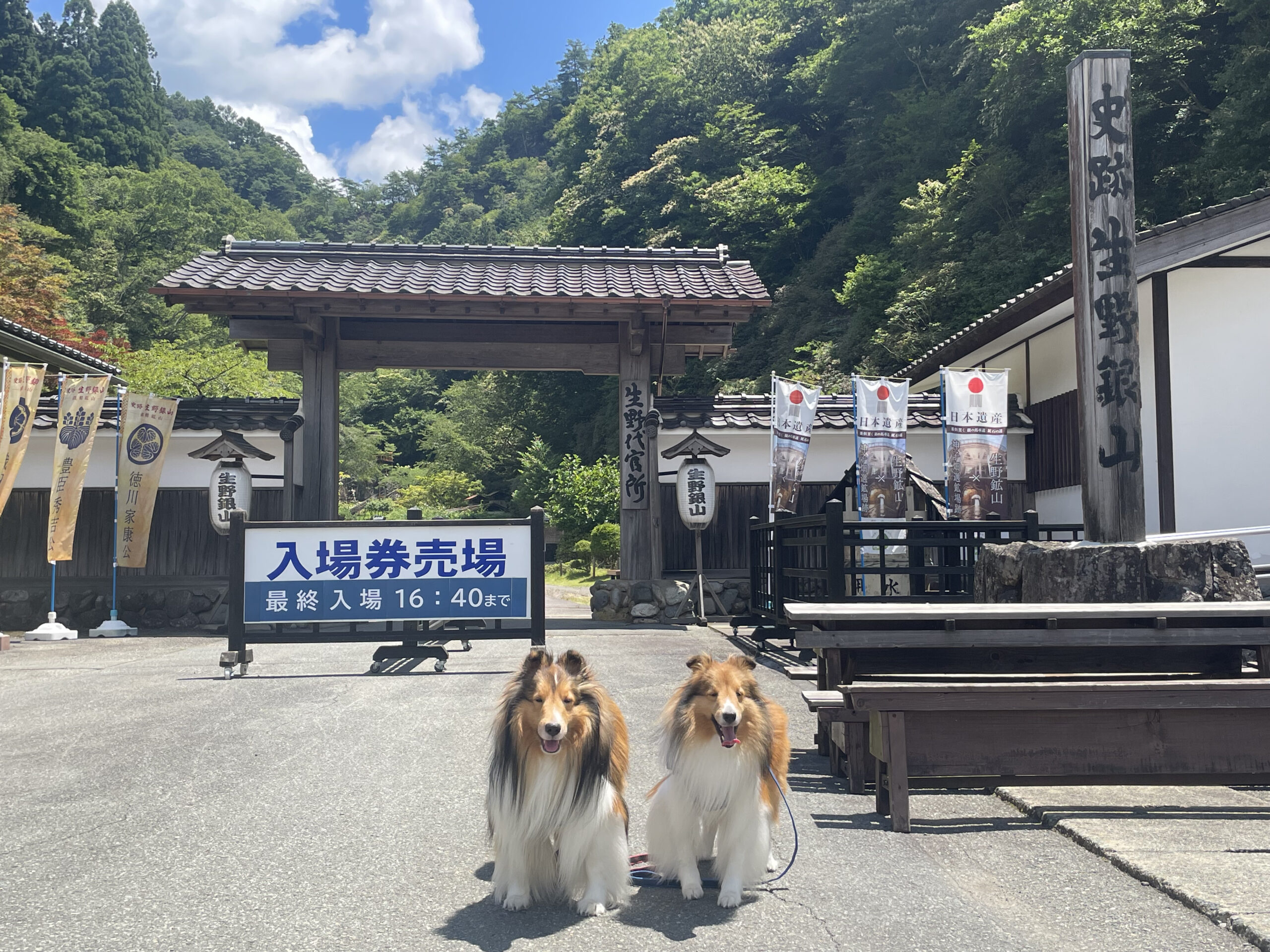 朝来市 ペット ランチ トップ