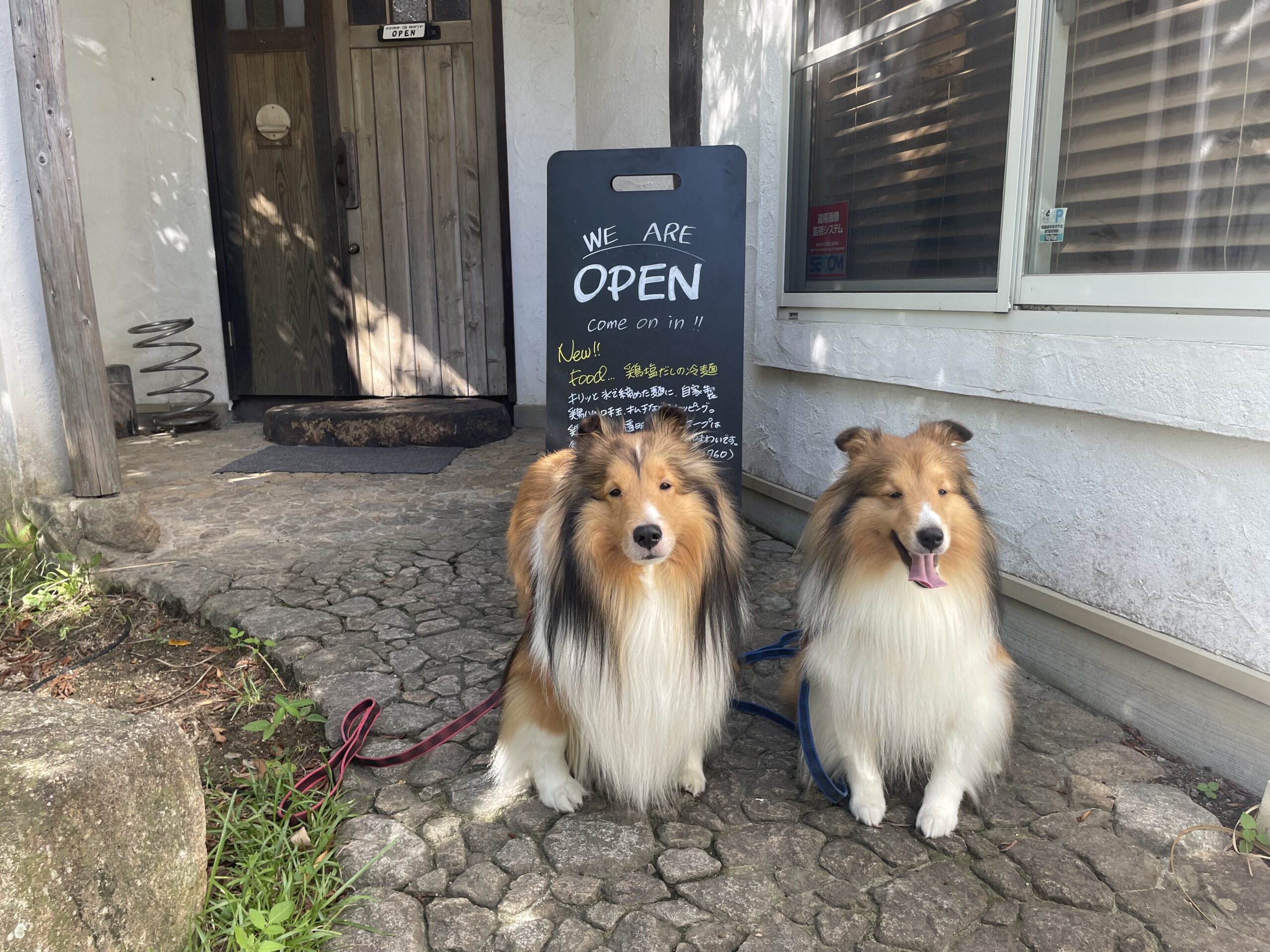兵庫/西宮市】Nü café(ヌーカフェ)「ワンちゃん同伴OK！高台にある絶景