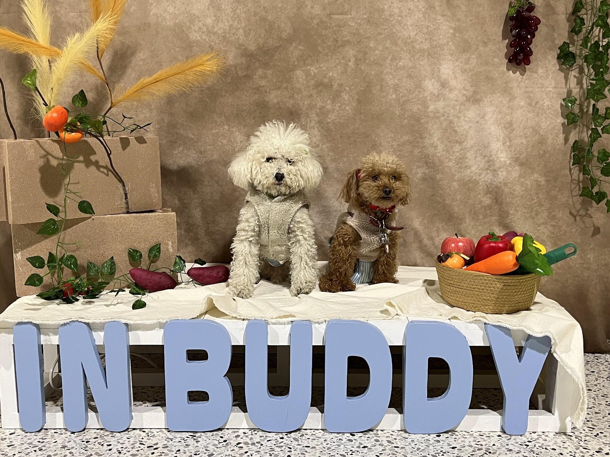 大阪/門真市】BUDDY G−Doodle/Osaka(バディジードゥードルオオサカ