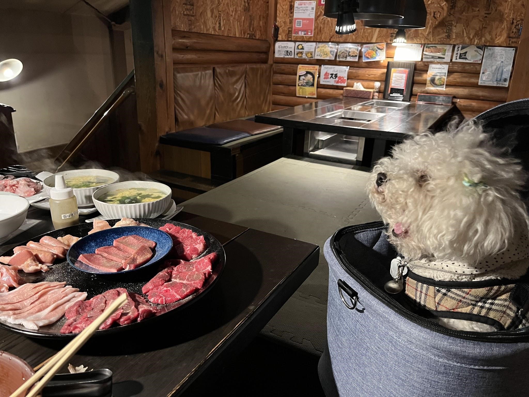 ワンちゃんと一緒に焼き肉を楽しめるお店と大阪府河内長野市にある