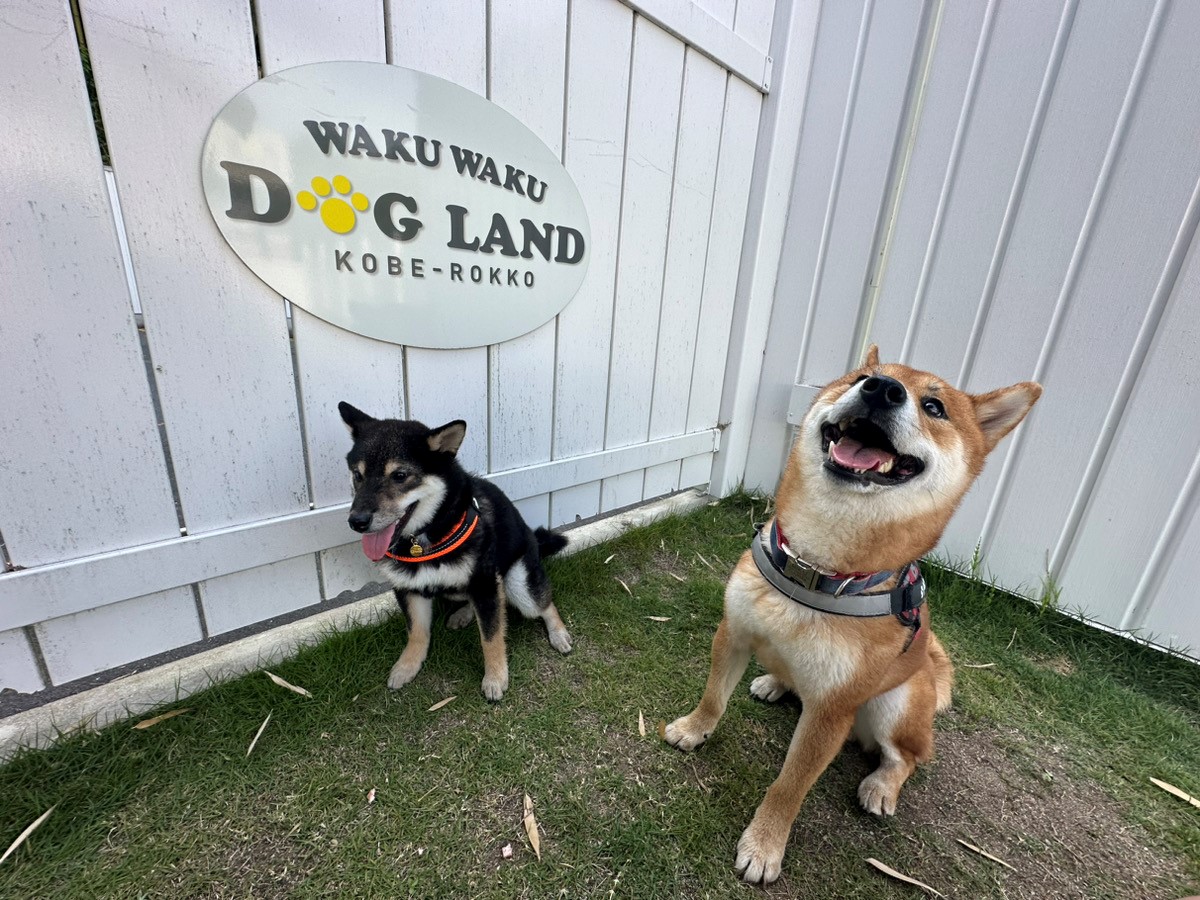 wakuwakuドッグランド神戸.jpg