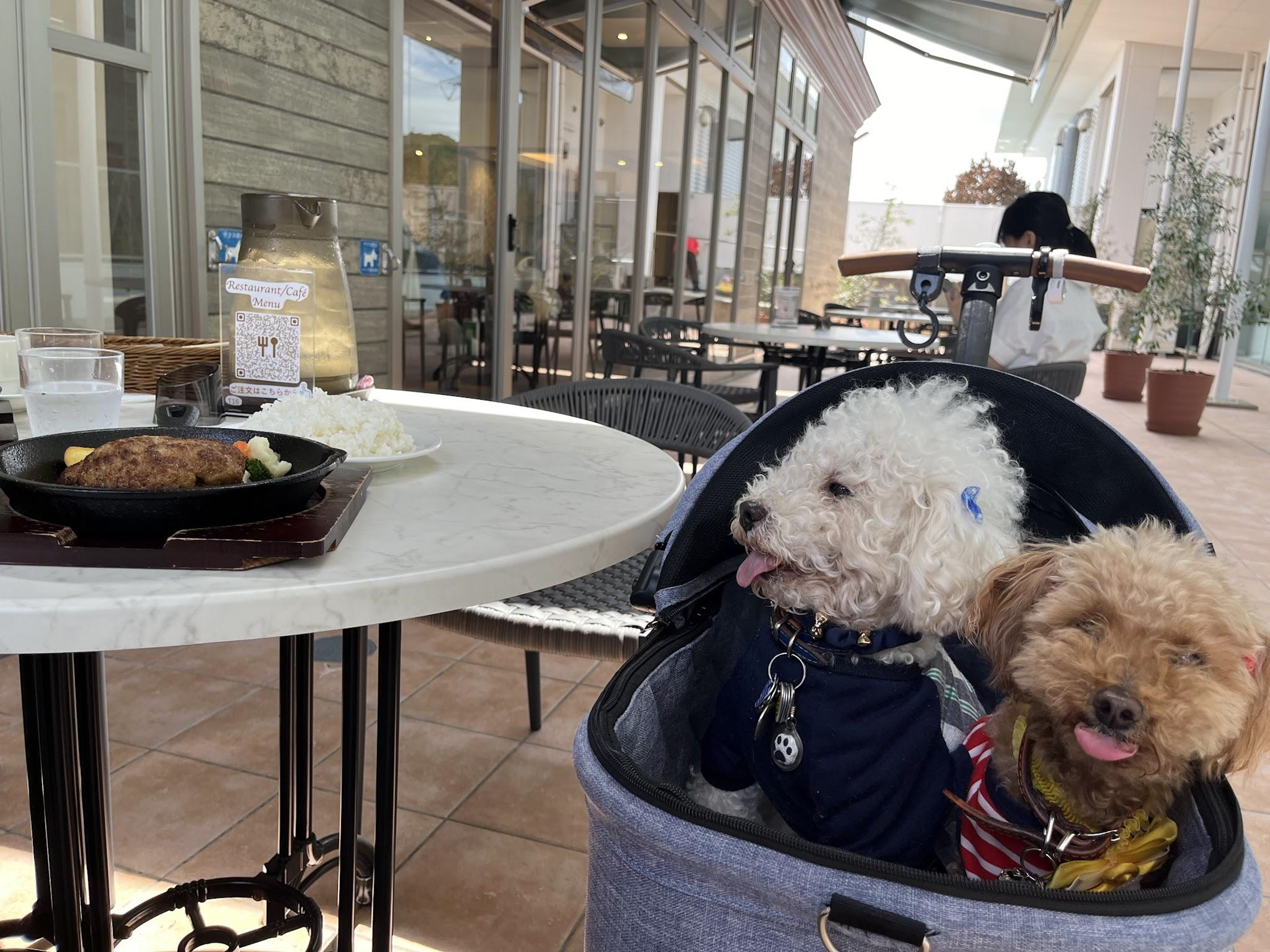 La colline(ラ・コリーヌ）は大阪府枚方市にある複合温浴施設「ゆdesse