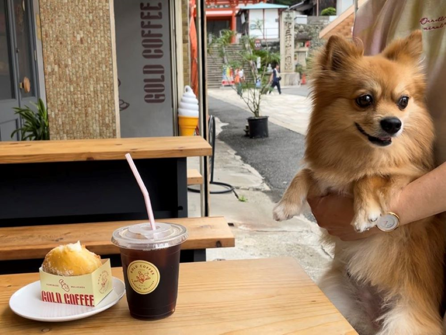 和歌山市のGOLD COFFEEはワンちゃんテラス席OK！紀三井寺参道の