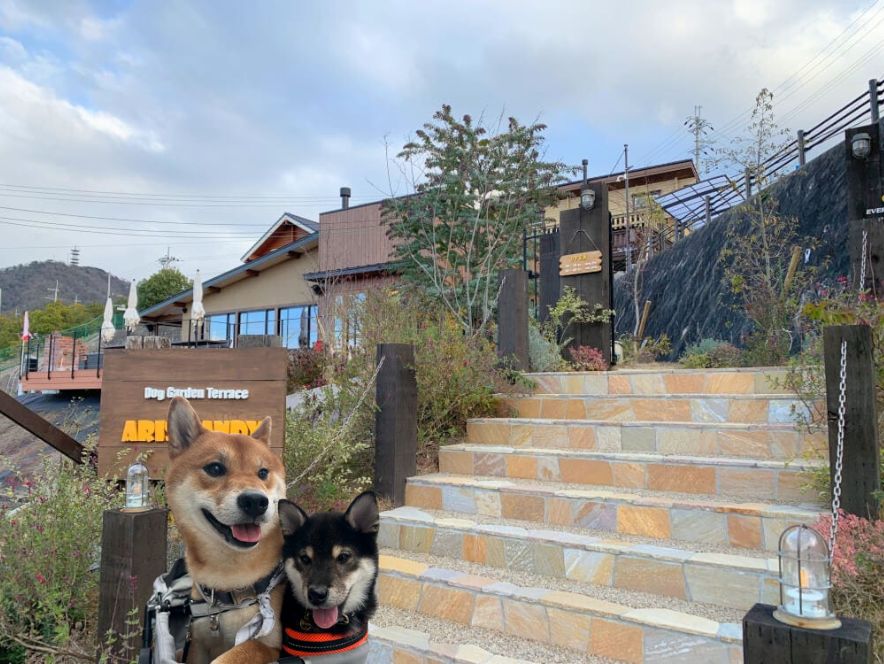 兵庫/西宮市】Dog Garden Terrace ARISとANDY（アリスとアンディ