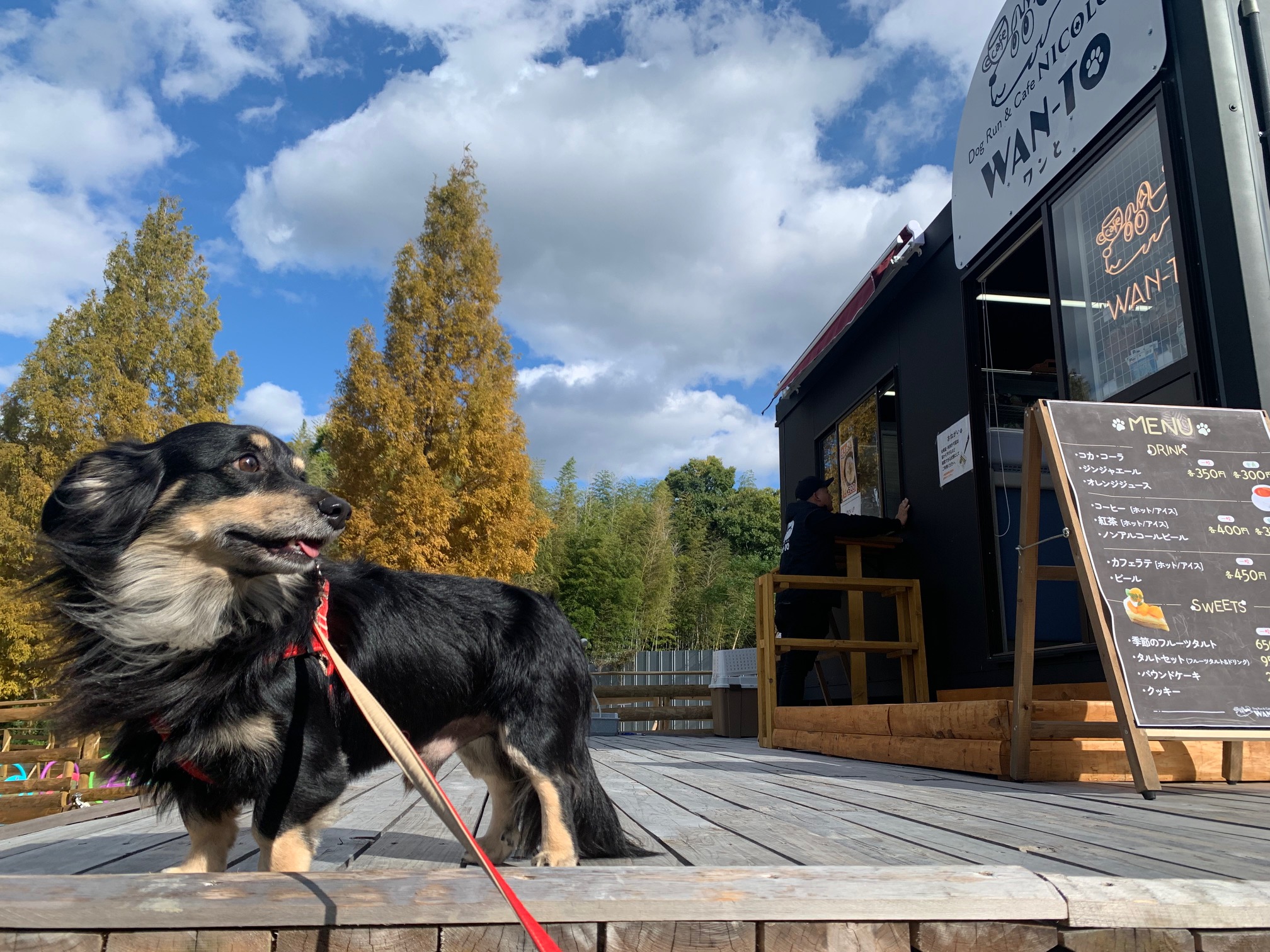大阪/岸和田市】ドッグラン＆カフェWAN-TO（ワンと）「2024年11月23日