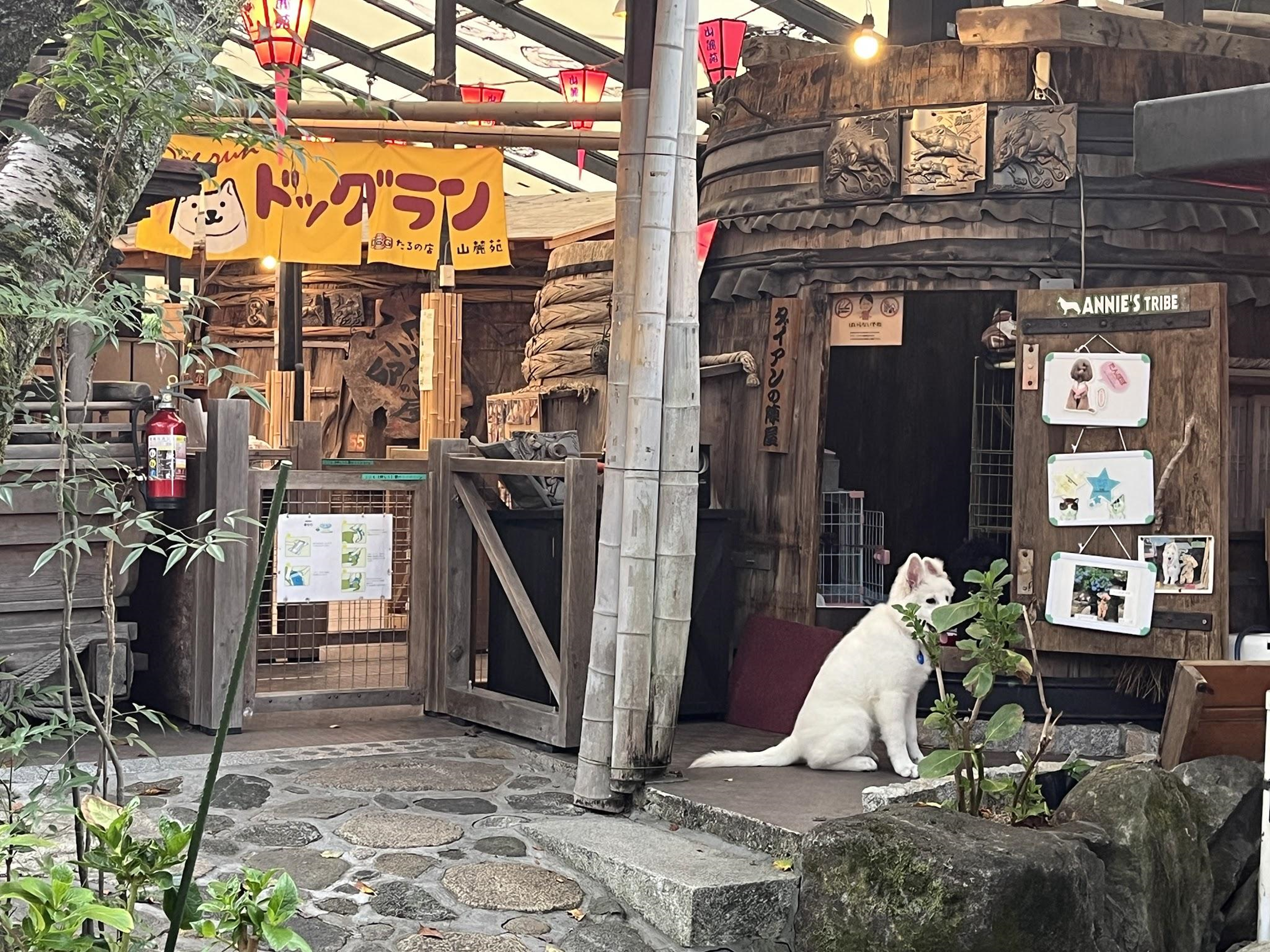 北国の漢部屋 一棟貸切 STAY UWU 002 retro house（高知市）：（最新料金
