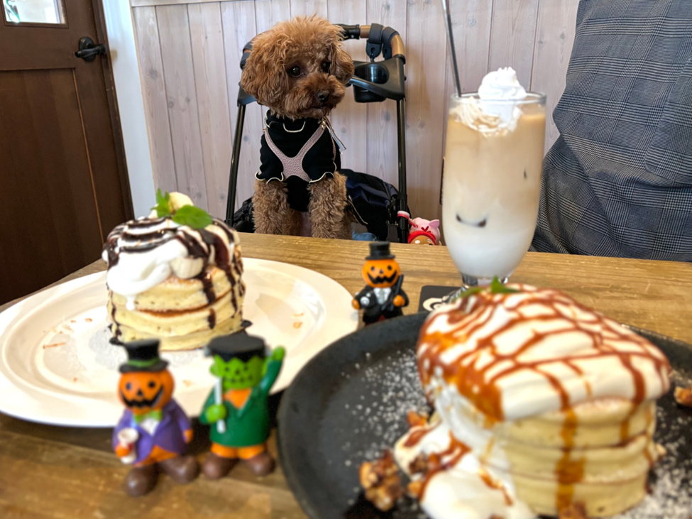 ⭐️親子わんわん さん専用⭐️ わんわんカート 多頭用DX plus-N ジェックス GEX | イオンスタイル