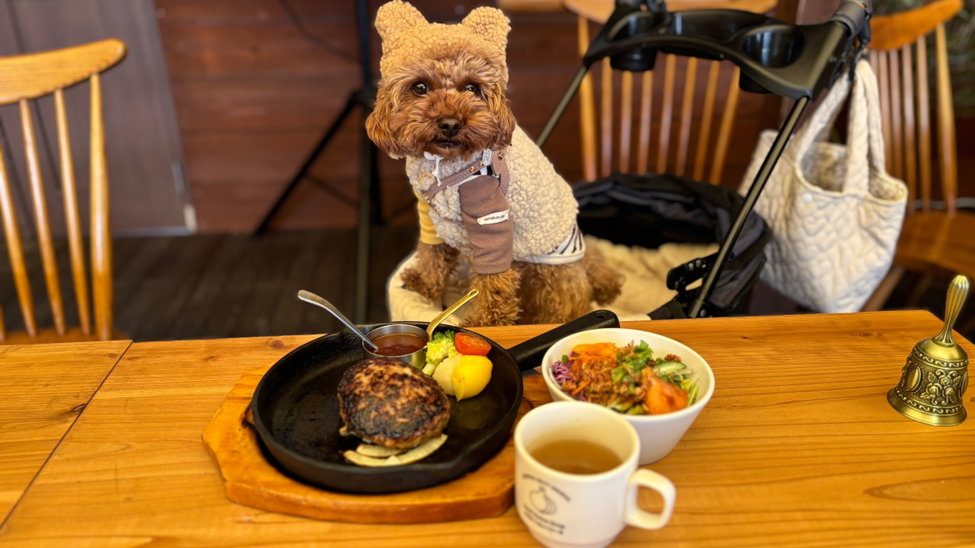 大阪/高槻市】津の田ミートLODGE 高槻摂津峡店「ドッグラン付き