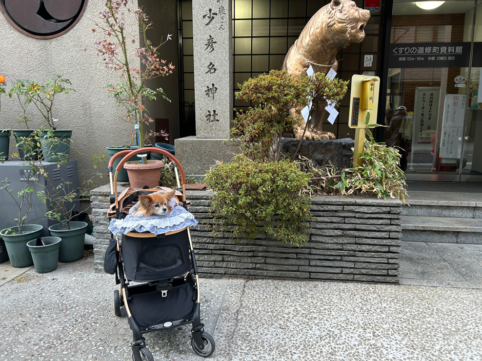 image-26.png