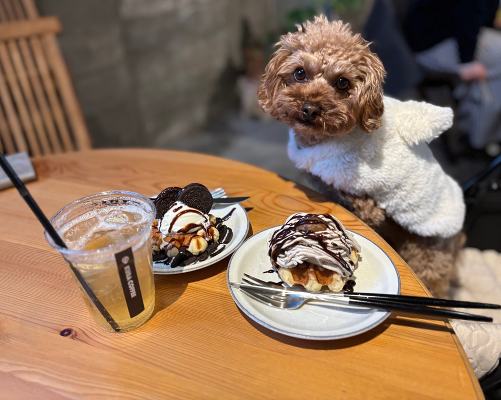 大阪/鶴橋】KURA COFFEE「ヴィンテージ感溢れるオシャレな倉庫カフェで