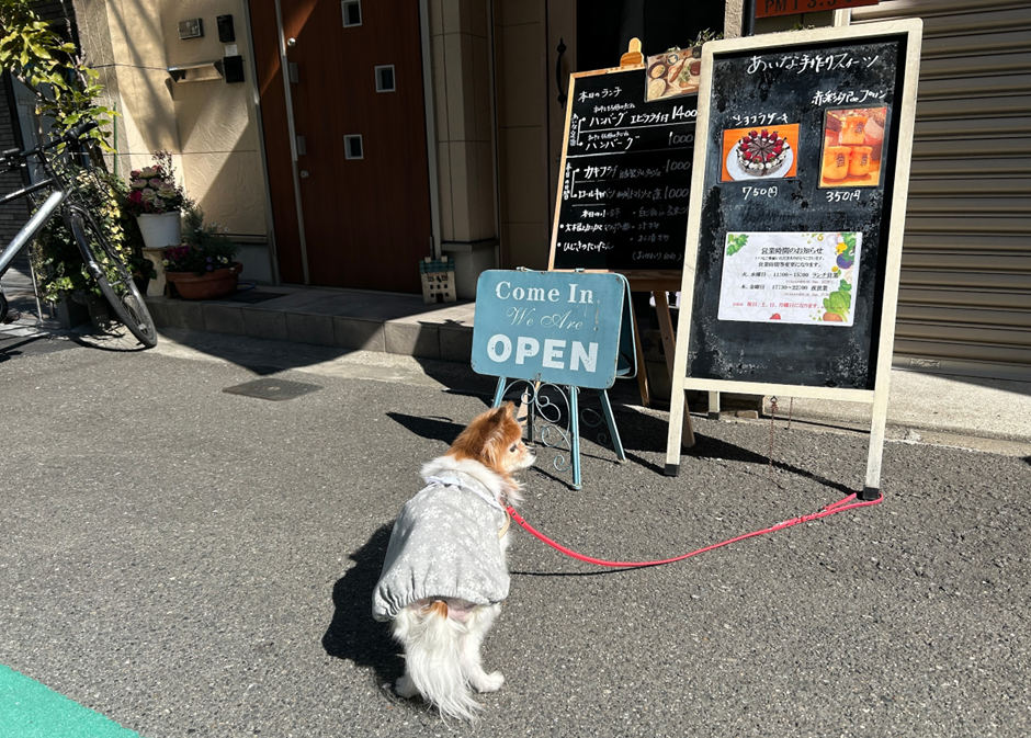 大阪市/北区】ごはんとカフェあいなLove Vege「人もわんちゃんも