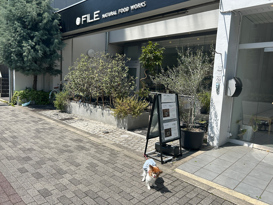 京都市/左京区】File natural food works「15kgの中型犬まで店内OK