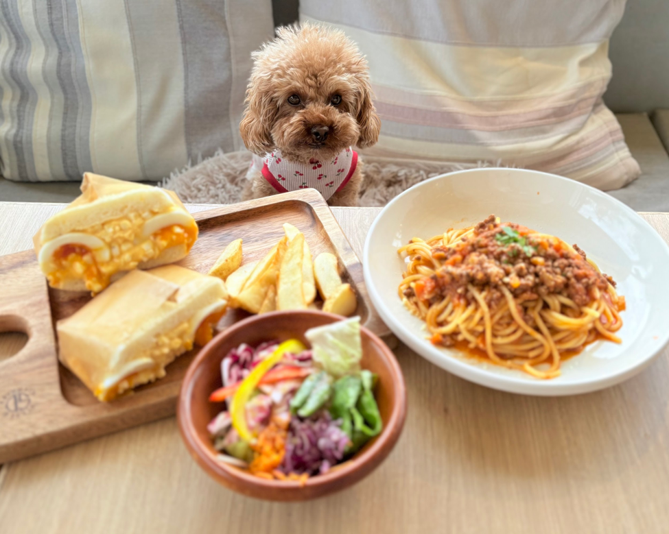 大阪/茨木】高木珈琲「こだわり珈琲と大人気のパンケーキにランチ！何