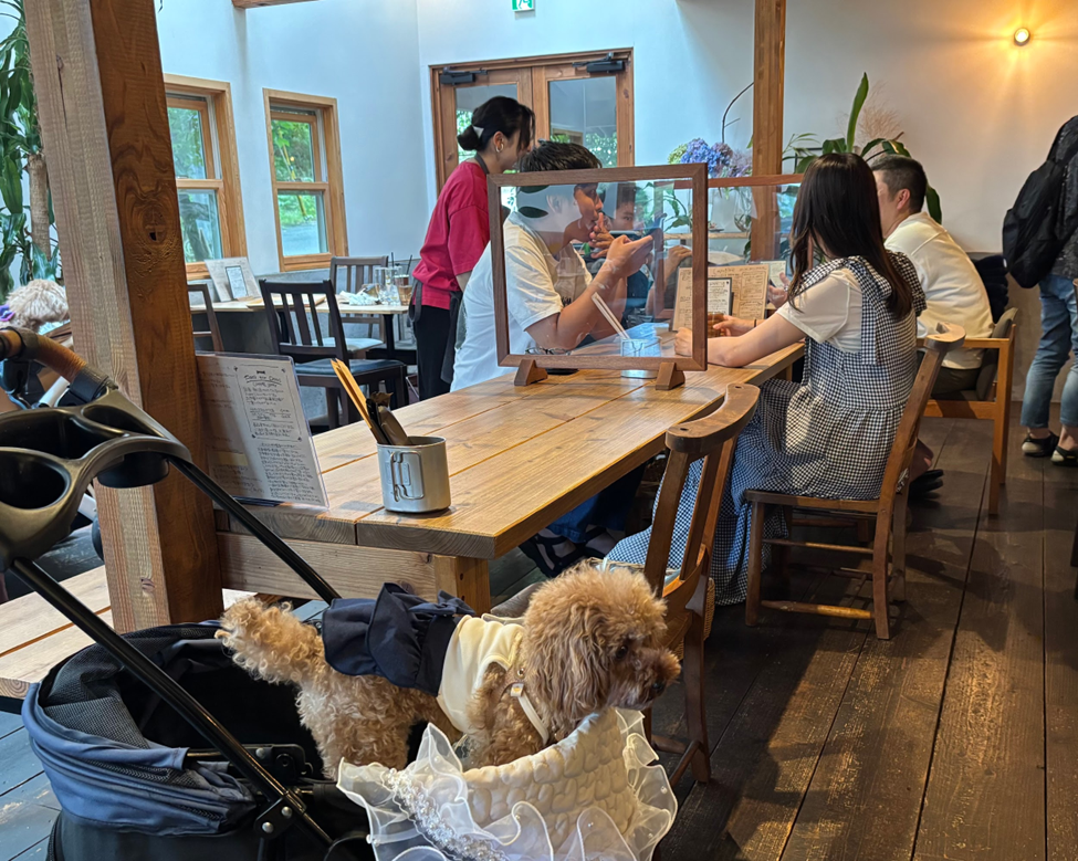 滋賀/大津】木のした料理店「わんこにとっても優しい♪知っていないと