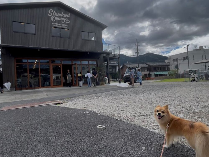 和歌山/伊都郡かつらぎ町】STANDARD ORANGE GENERAL STORE「4エリアの