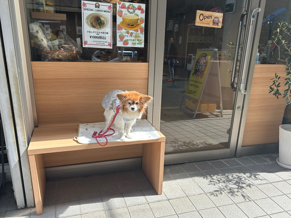 兵庫県/神戸市】Dog Friendly JEWEL COFFEE & TEA (ドッグフレンドリー